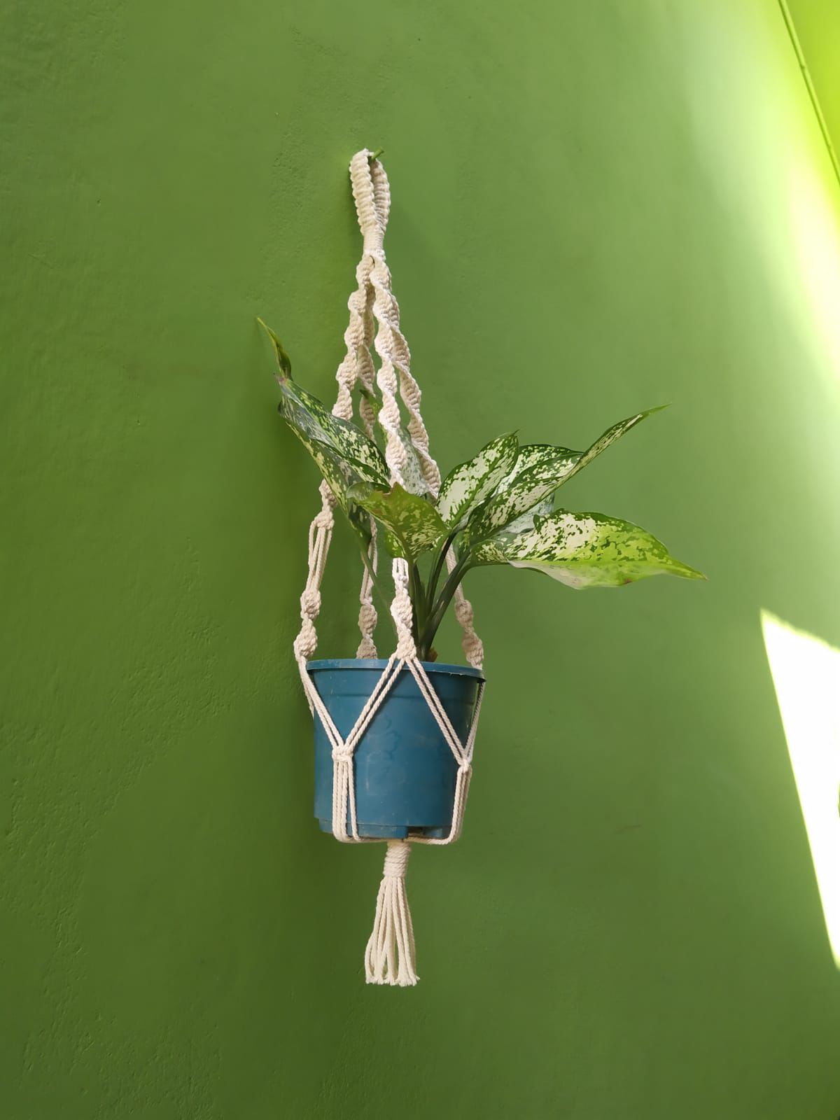 Crochet Plant Hanger