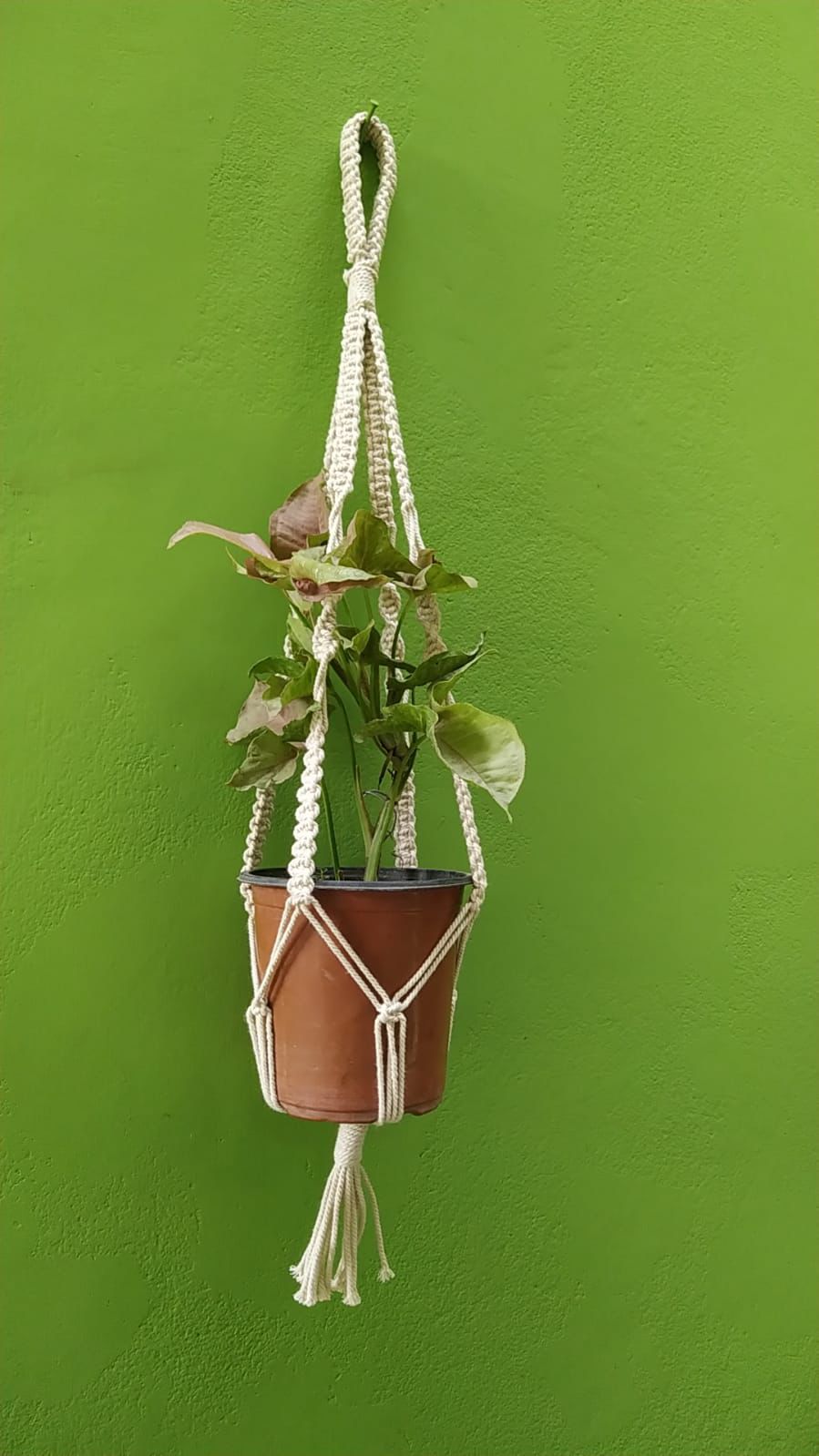 Crochet Plant Hanger