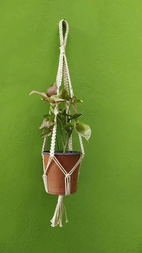 Crochet Plant Hanger
